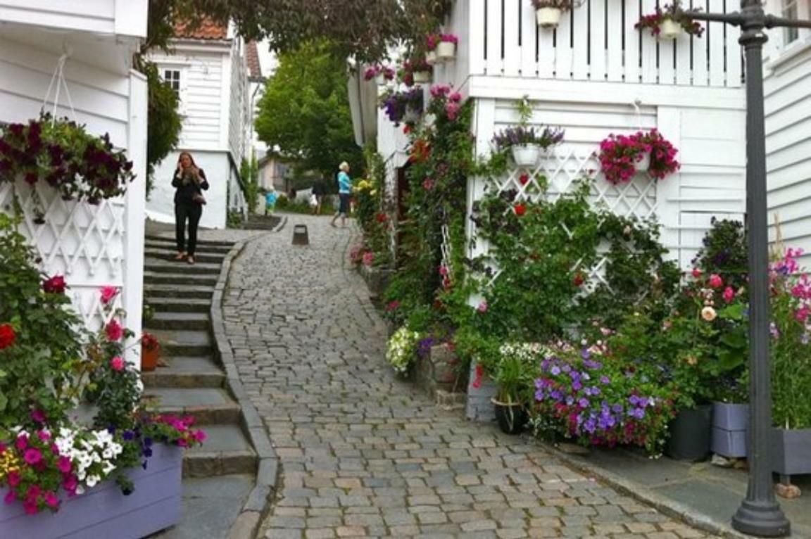 Apartment Historical In The Heart Of The Old Town *